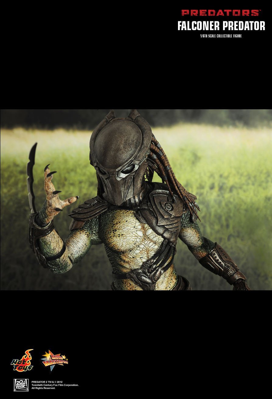 Falconer Predator 1/6th Scale Collectible Figure By Hot Toys