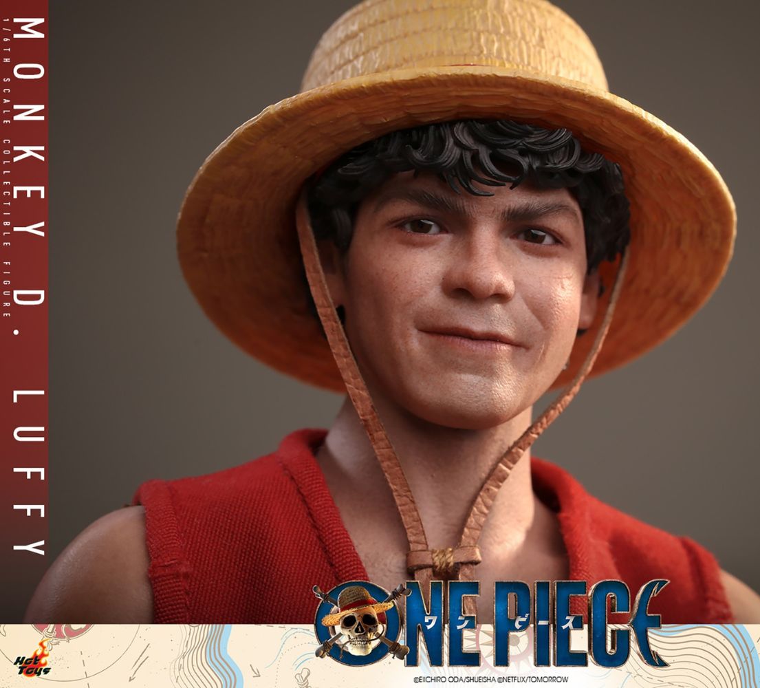 Monkey D. Luffy Sixth Scale Figure by Hot Toys