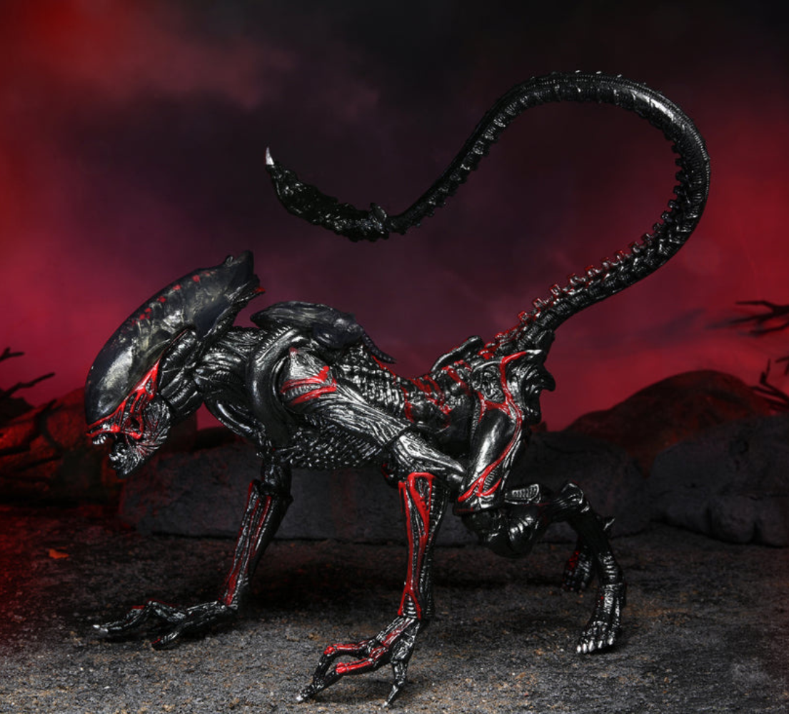 Aliens - Ultimate Kenner Tribute Night Cougar Alien 7" Scale Action Figure