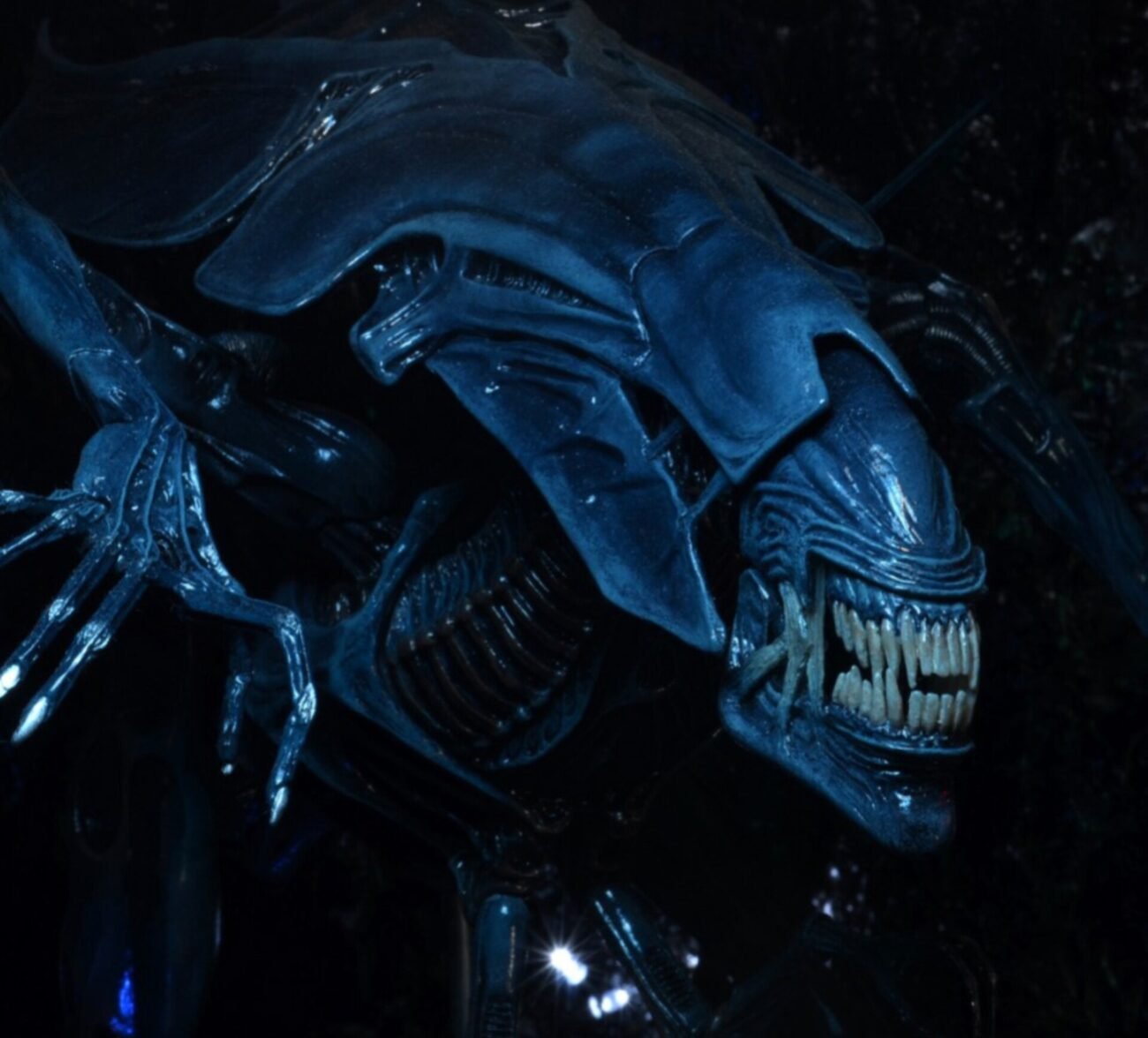 Xenomorph Queen Ultra Deluxe Boxed Action Figure By NECA Toys