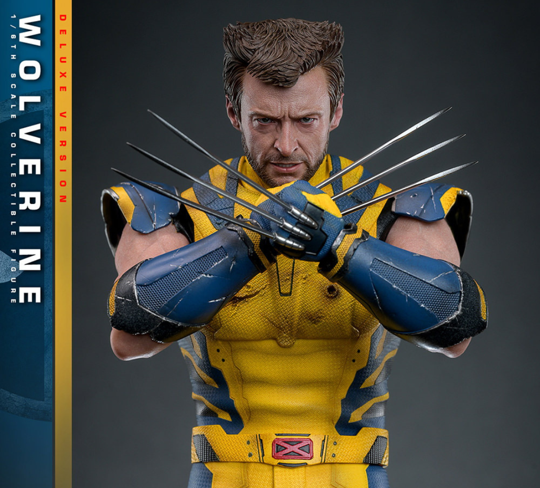 Wolverine (Deluxe Version) Sixth Scale Figure by Hot Toys [First Batch]
